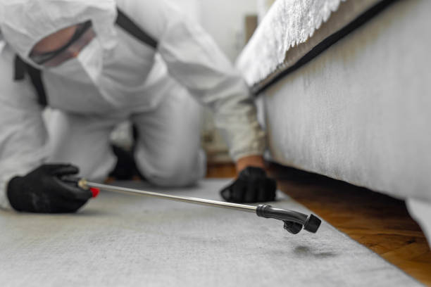 Professional Ant Control technician working in Lake Nacimiento, CA